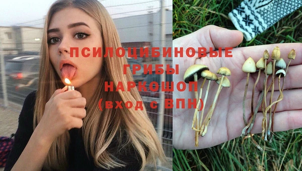каннабис Арсеньев