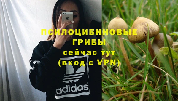 каннабис Арсеньев