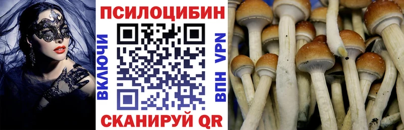 Галлюциногенные грибы прущие грибы  нарко площадка официальный сайт  Сясьстрой  ОМГ ОМГ tor 